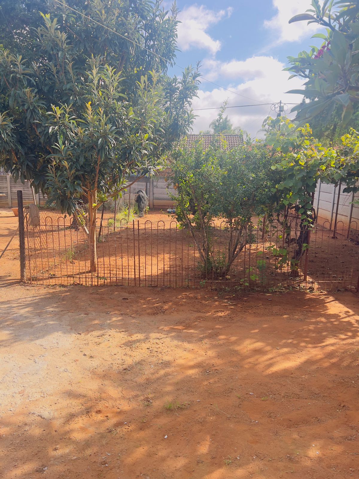 Fruit trees & open grounds